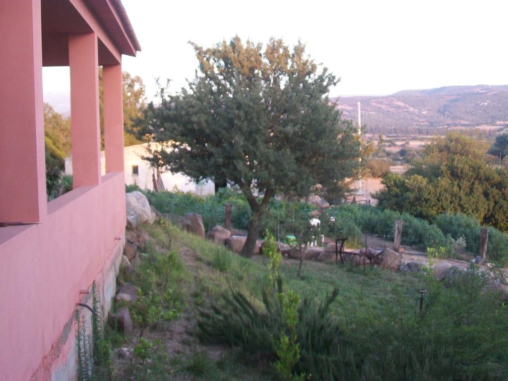 Agriturismo Farris Massimo Perfugas Zimmer foto